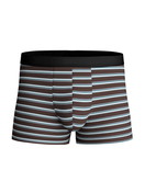 Men - Boxer brief made of Lyocell in Brown, Striped, from the Focus Trend series by CALIDA