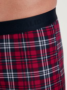 Le mannequin Homme porte le/la Boxer brief en Coton de couleur Rouge, À motifs, de la série Family & Friends de CALIDA, Détail
