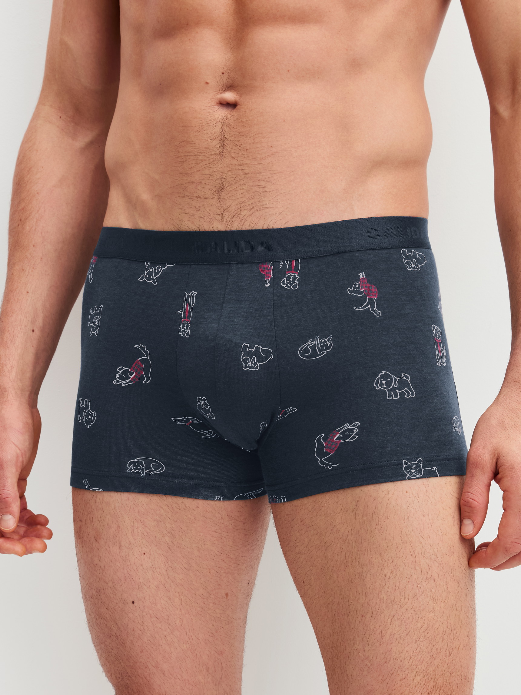 La modella / Il modello Uomo indossa Boxer brief in Cotone di colore Blu, Modello, della serie Family & Friends di CALIDA, Vista frontale