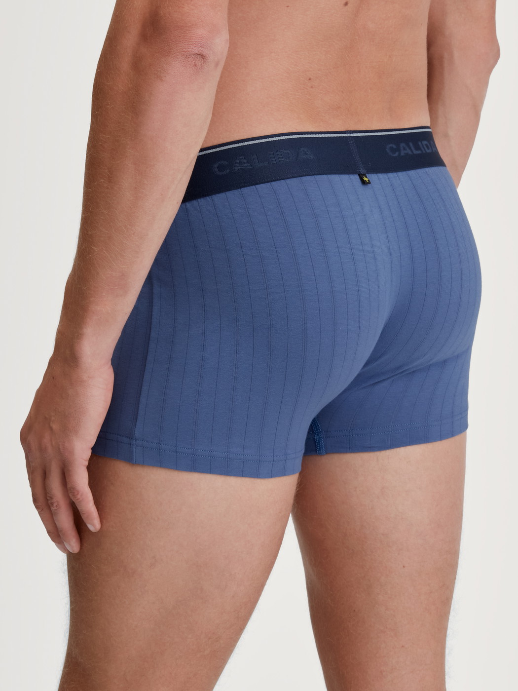 La modella / Il modello Uomo indossa Boxer brief, girovita elastico in Cotone di colore Blu, Tinta unita, della serie Pure & Style di CALIDA, Vista posteriore