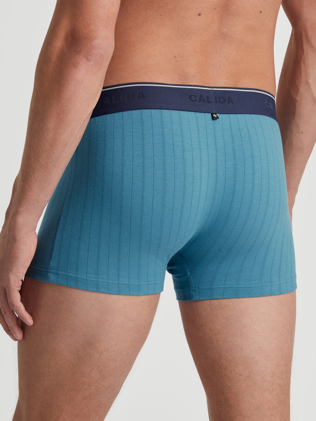 Herren-Model trägt Boxer Brief mit Elastikbund aus Baumwolle in Türkis, Einfarbig aus Serie Pure & Style von CALIDA, Rückansicht