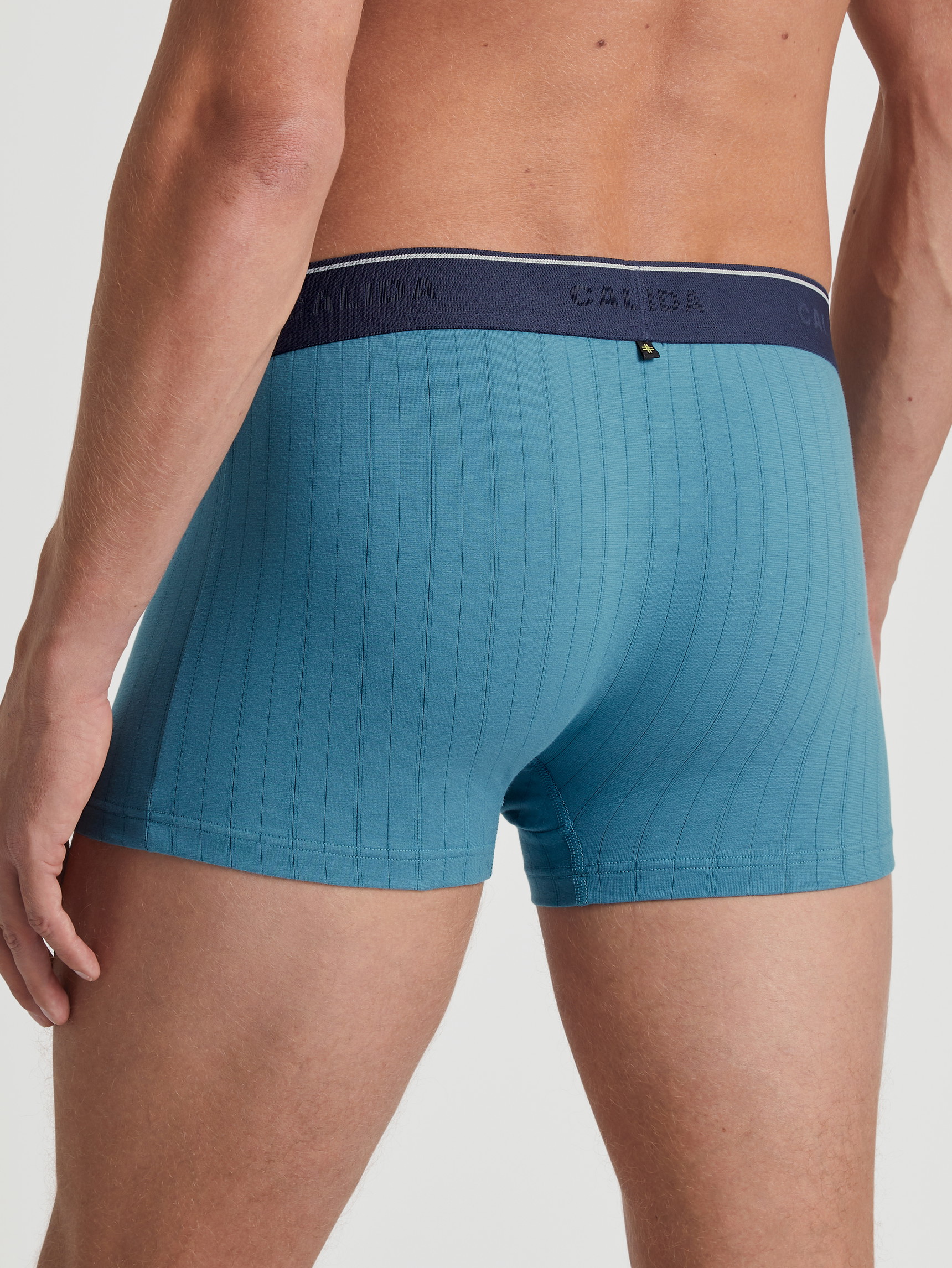 Herren-Model trägt Boxer Brief mit Elastikbund aus Baumwolle in Türkis, Einfarbig aus Serie Pure & Style von CALIDA, Rückansicht