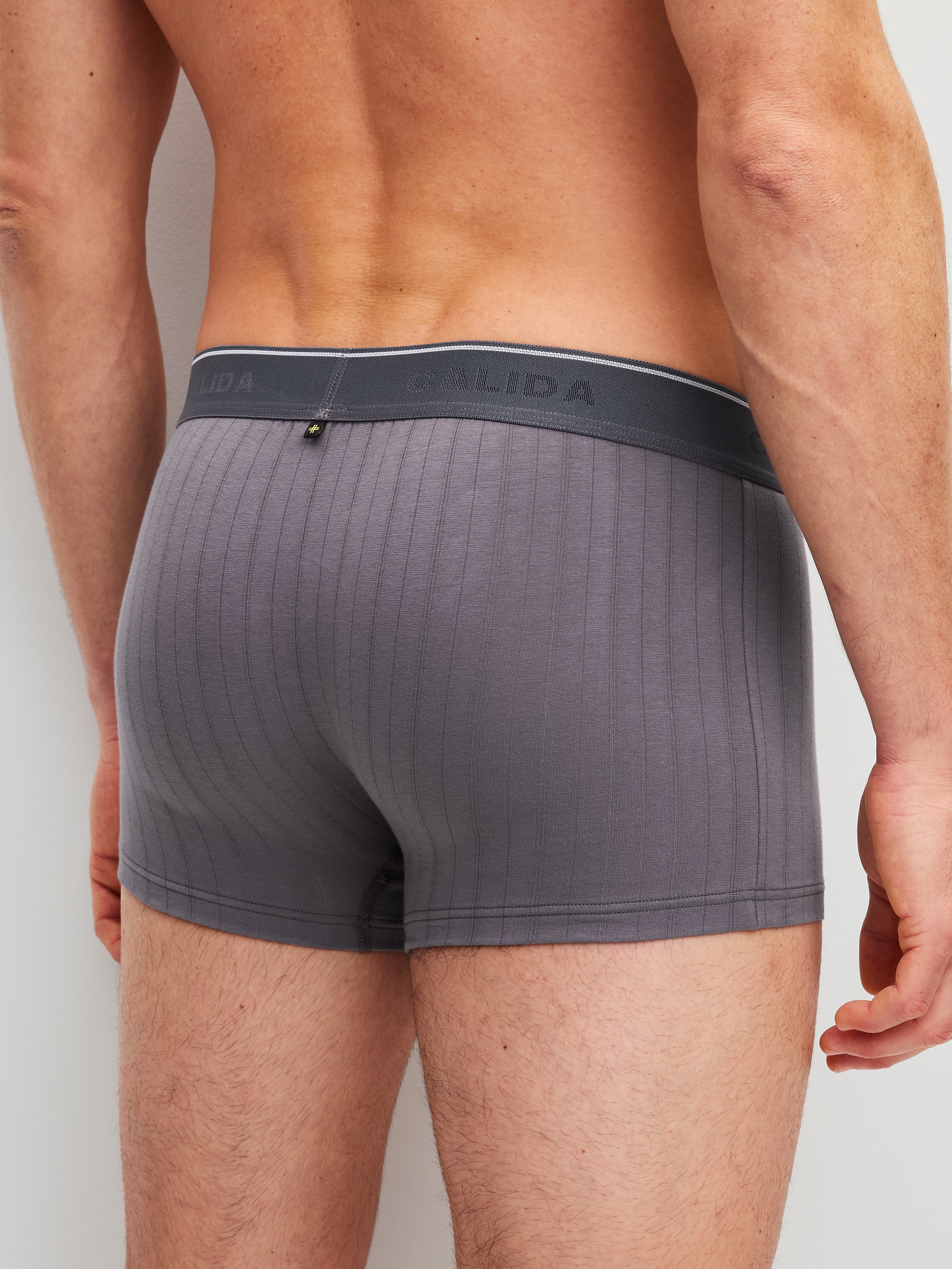 Le mannequin Homme porte le/la Boxer brief, ceinture élastique en Coton de couleur Gris, Unicolore, de la série Pure & Style de CALIDA, Vue arrière