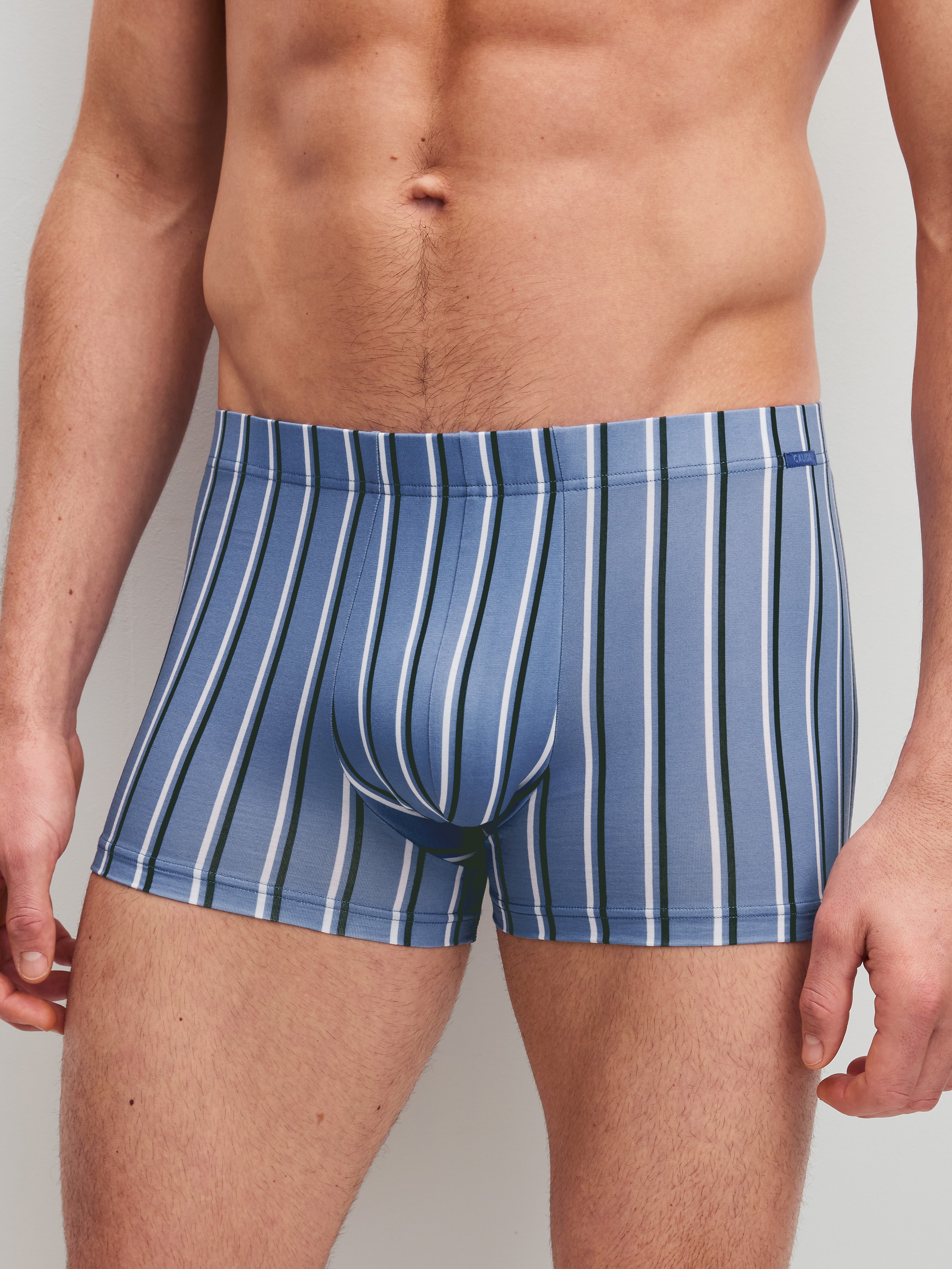 Herren-Model trägt Boxer Brief aus Pima® Baumwolle in Blau, Gestreift aus Serie Grafic Cotton von CALIDA, Vorderansicht