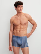 Herren-Model trägt Boxer Brief aus Pima® Baumwolle in Blau, Gestreift aus Serie Grafic Cotton von CALIDA, Outfit