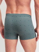 Men model is wearing Boxer brief made of Cotton in Green, Patterned from the Grafic Cotton series by CALIDA, Back view