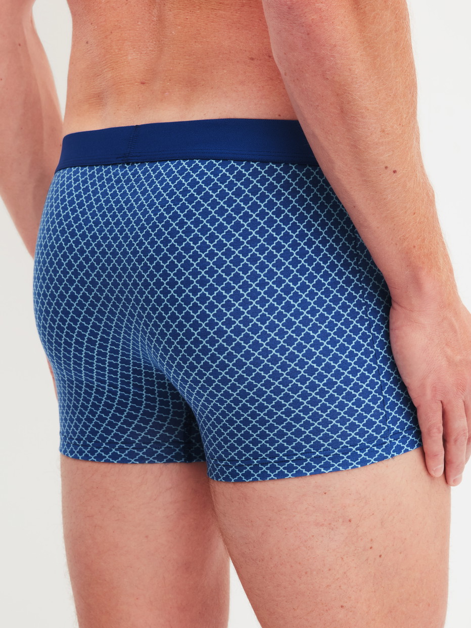 Herren-Model trägt Boxer Brief mit Softgummibund aus Baumwolle in Blau, Gemustert aus Serie Cotton Code Design von CALIDA, Rückansicht