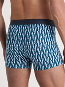La modella / Il modello Uomo indossa Boxer brief in Cotone di colore Blu, Modello, della serie Cotton Code Design di CALIDA, Vista posteriore