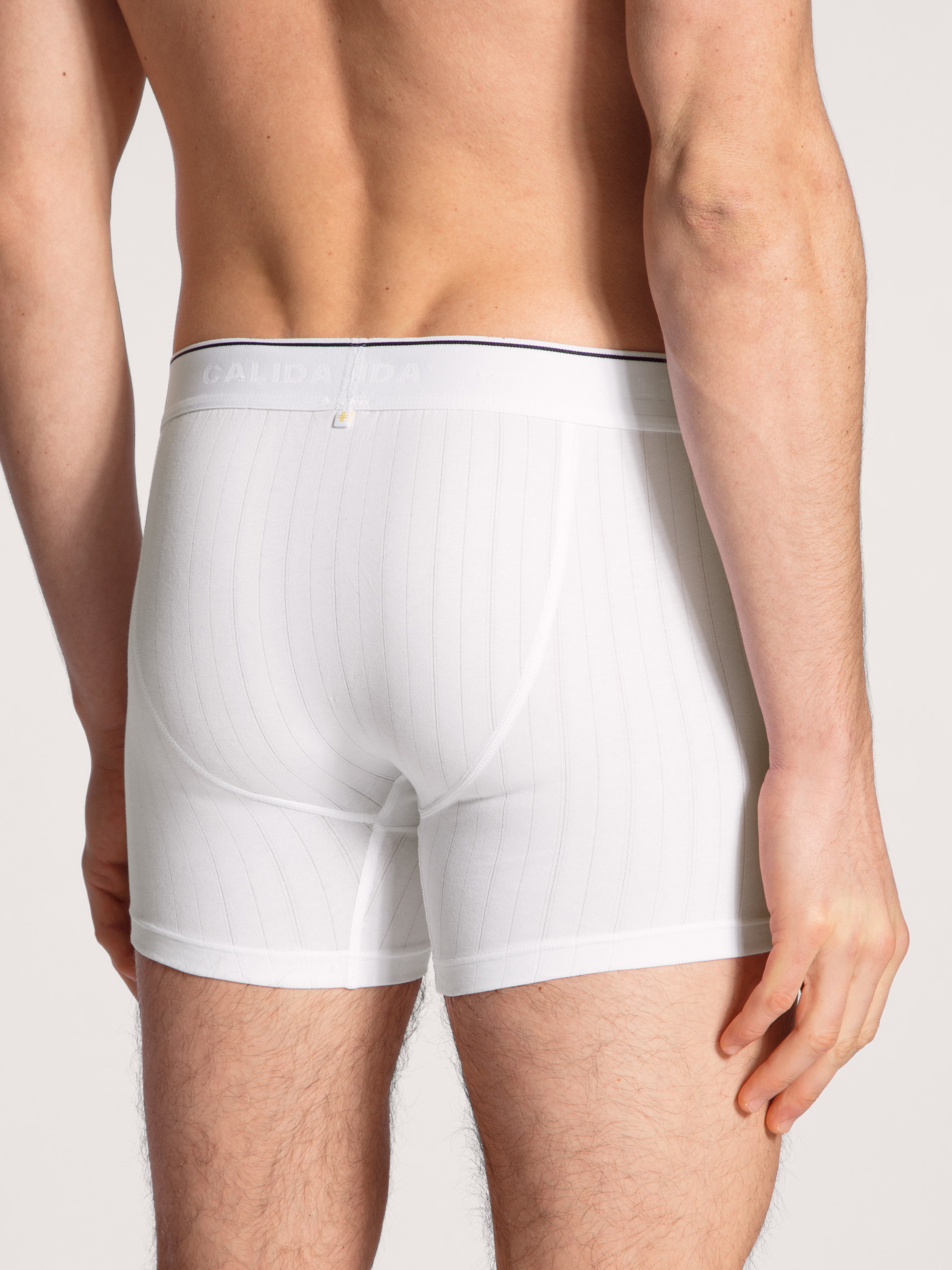 Herren-Model trägt Boxer Brief mit langem Bein aus Baumwolle in Weiß, Einfarbig aus Serie Pure & Style von CALIDA, Rückansicht