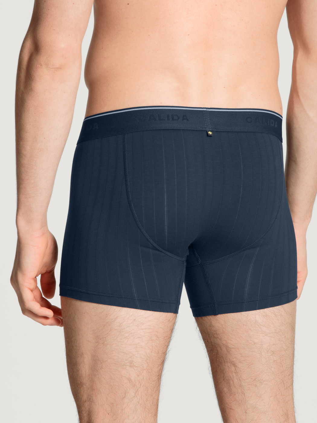 Herren-Model trägt Boxer Brief mit langem Bein aus Baumwolle in Blau, Einfarbig aus Serie Pure & Style von CALIDA, Rückansicht