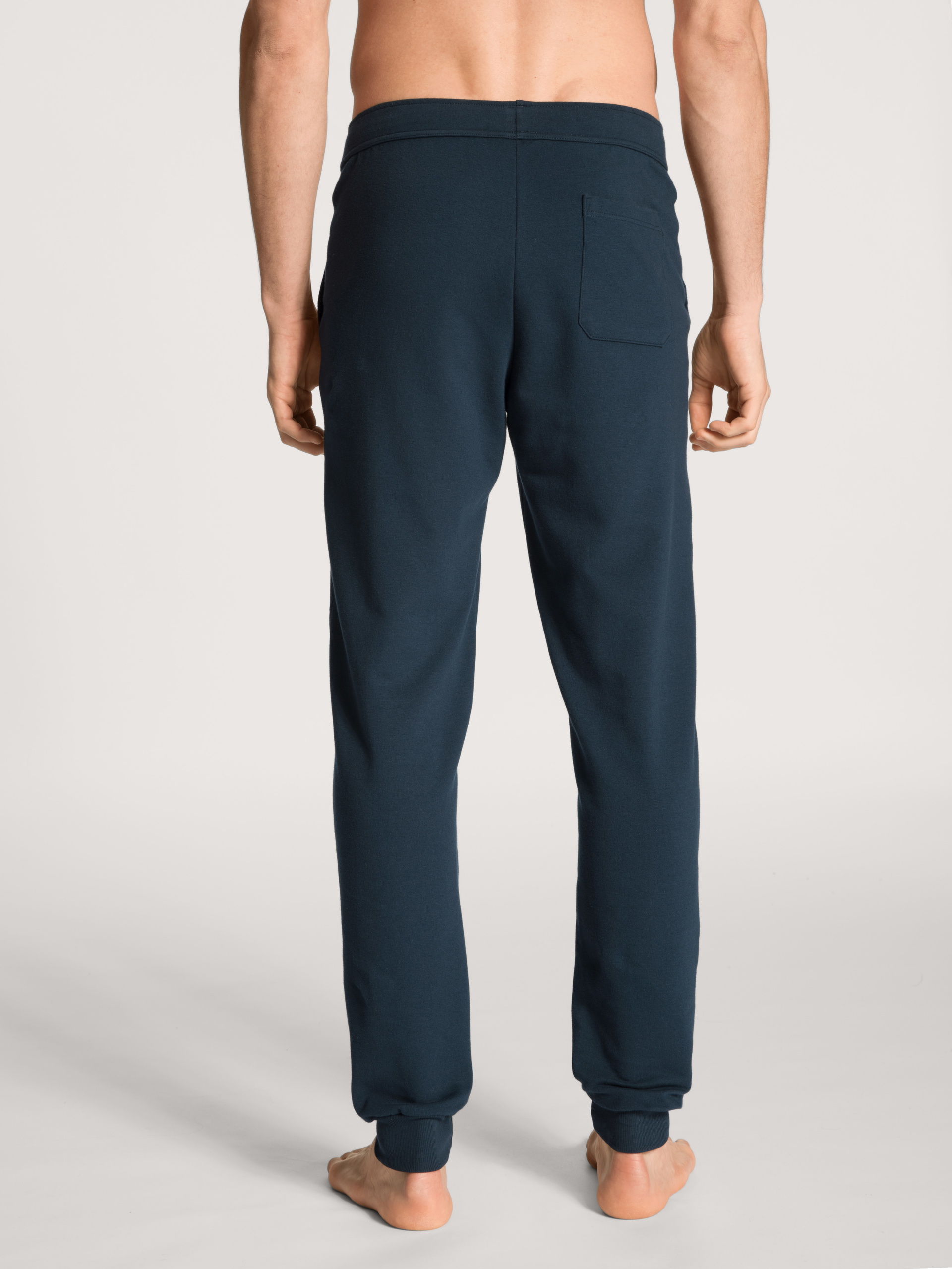 Men model is wearing Jogging pants with side pockets made of Cotton in Blue, Unicoloured from the Remix Basic Lounge series by CALIDA, Back view