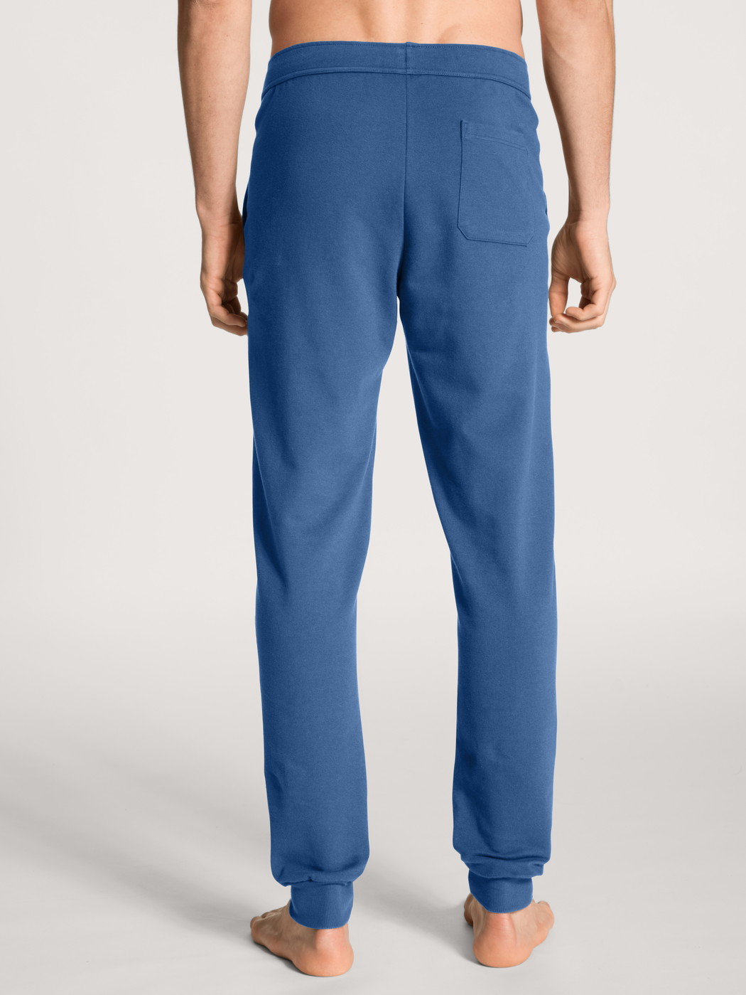 Men model is wearing Jogging pants with side pockets made of Cotton in Blue, Unicoloured from the Remix Xtra series by CALIDA, Back view