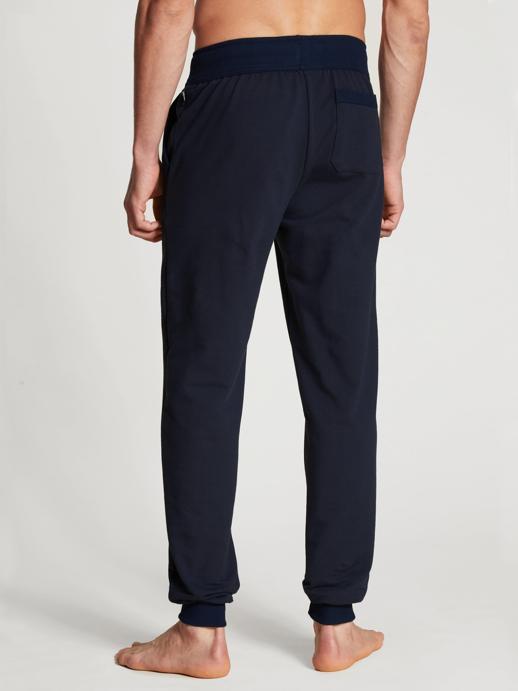 La modella / Il modello Uomo indossa Pantaloni da ginnastica, compostabili in 100% cotone di colore Blu, Tinta unita, della serie Circular Lounge di CALIDA, Vista posteriore