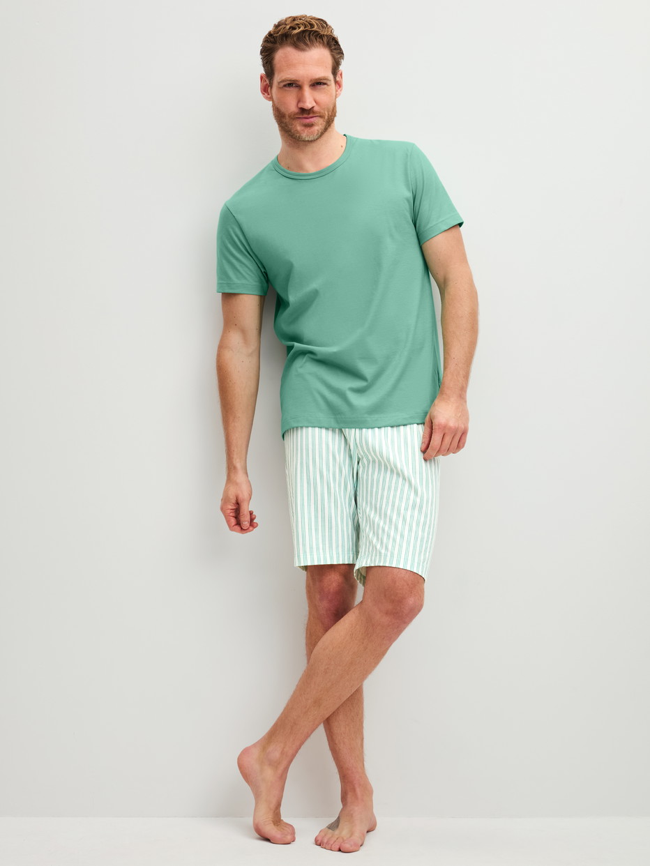 Herren-Model trägt Kurz-Pyjama aus 100% Baumwolle in Grün, Gestreift aus Serie Relax Easter von CALIDA, Vorderansicht