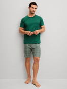 Le mannequin Homme porte le/la Pyjama court en 100% coton de couleur Vert, À carreaux, de la série Relax Imprint 2 de CALIDA, Vue de face