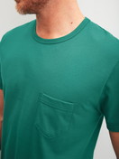 Le mannequin Homme porte le/la Pyjama court en 100% coton de couleur Vert, À motifs, de la série Relax Imprint 3 de CALIDA, Détail