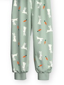 Kids - Pyjama with cuff made of 100% Cotton in Green, Patterned, from the Toddlers Easter series by CALIDA, Front view, White background