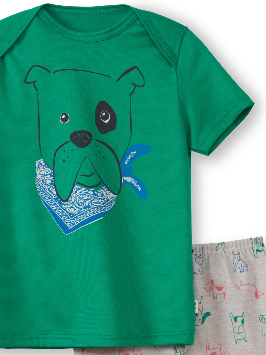 Enfant - Pyjama court en 100% coton de couleur Vert, Motif, de la série Toddlers Puppy de CALIDA, Détail