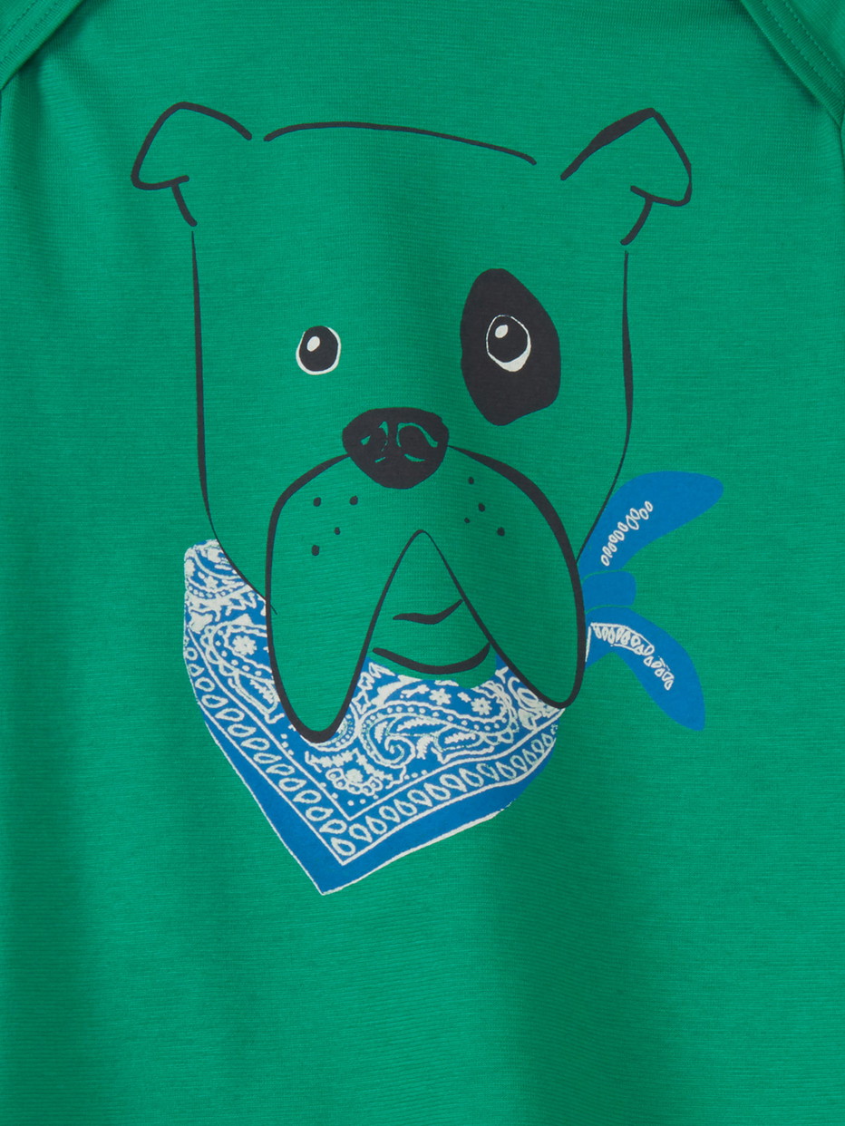 Enfant - Pyjama court en 100% coton de couleur Vert, Motif, de la série Toddlers Puppy de CALIDA, Détail